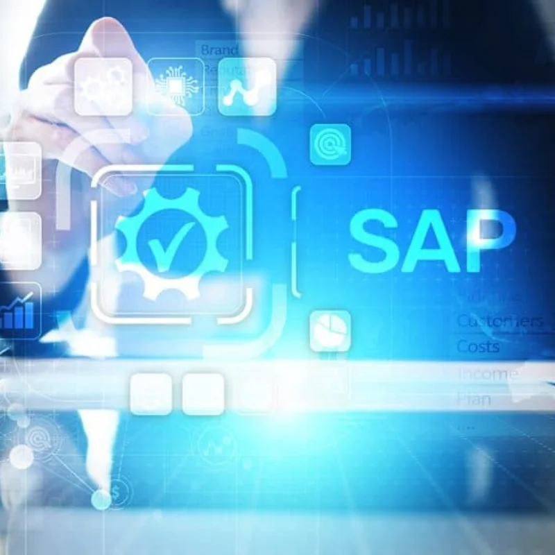 SAP ERP Security